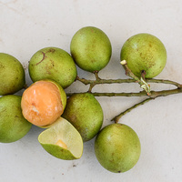 Spanish Lime