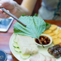 Beefsteak mint