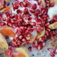 Punica granatum