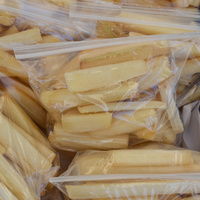 Saccharum officinarum