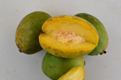 Spondias dulcis