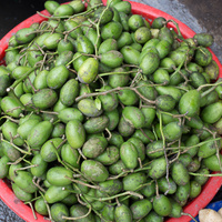 Spondias dulcis