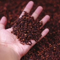 Clove tree