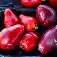 Malay apple
