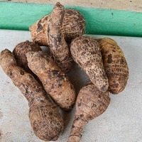 Cocoyam