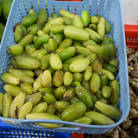 Averrhoa bilimbi