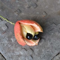 Ackee