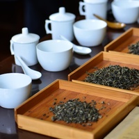 Camellia sinensis
