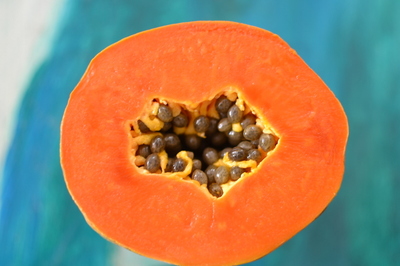 Carica papaya