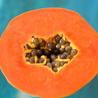 Papaya