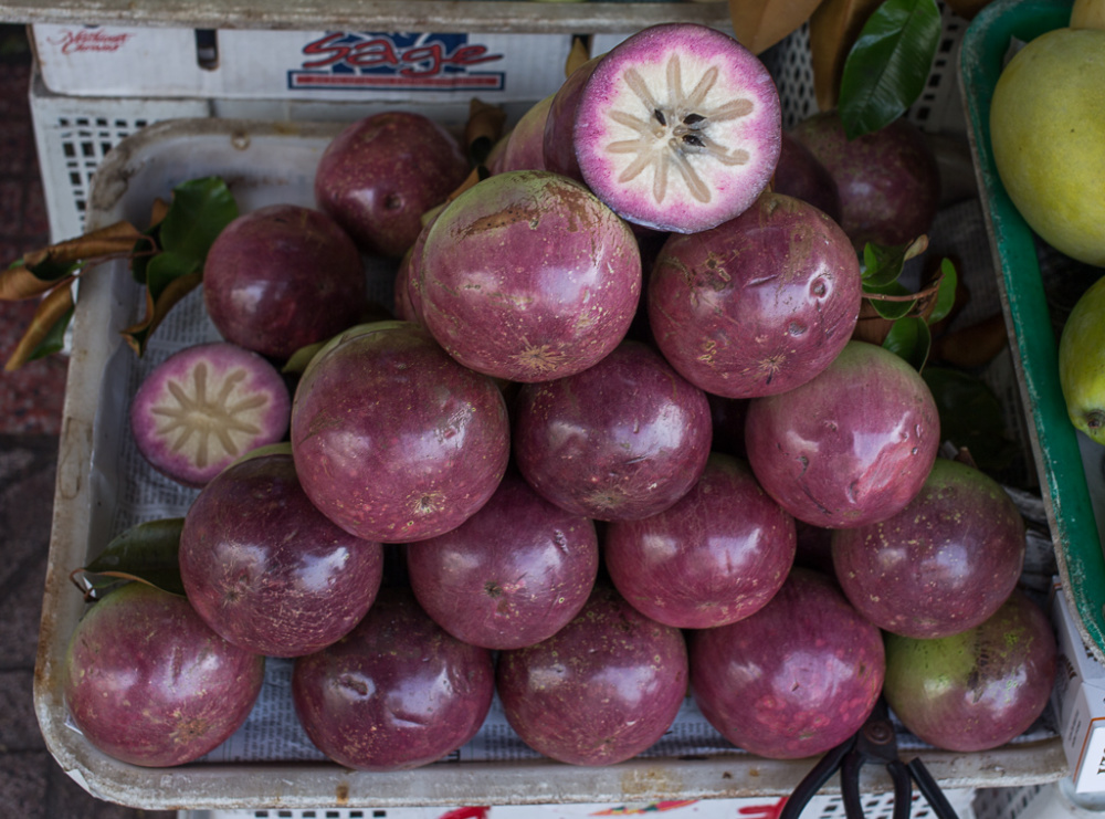 Cainito Fruit Tree | Fruit Trees