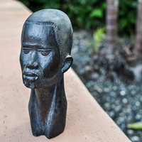 African blackwood