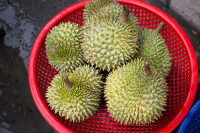 Durio zibethinus