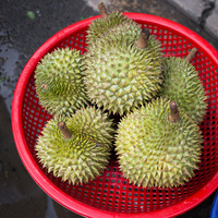 Durian
