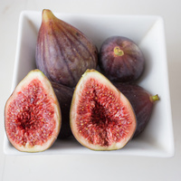 Ficus carica