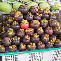 Mangosteen