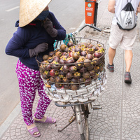 Garcinia mangostana