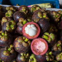 Garcinia mangostana