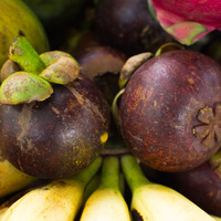 Garcinia mangostana