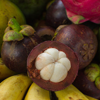Garcinia mangostana