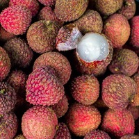 Litchi chinensis