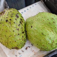 Annona muricata