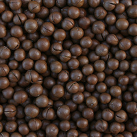 Macadamia integrifolia