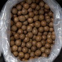 Macadamia integrifolia