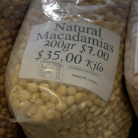 Macadamia integrifolia